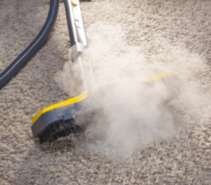 Carpet Cleaning